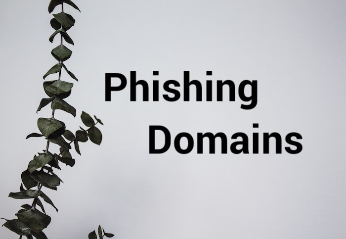 Finding Phishing: Tools and Techniques