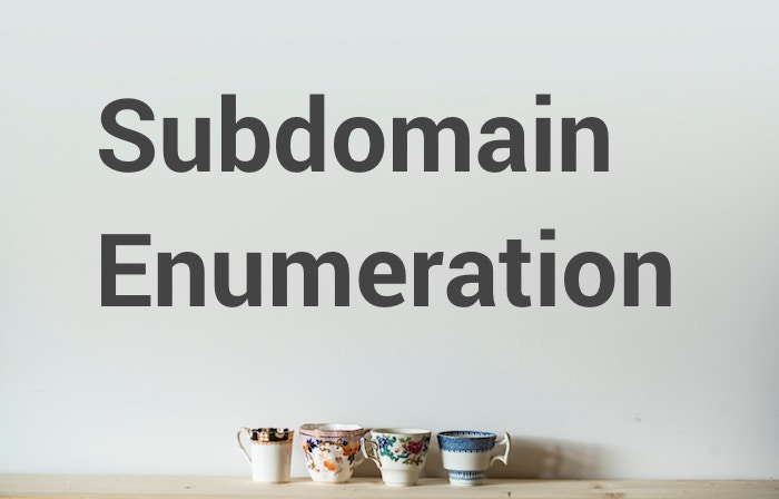 Subdomain Enumeration: 2019 Workflow