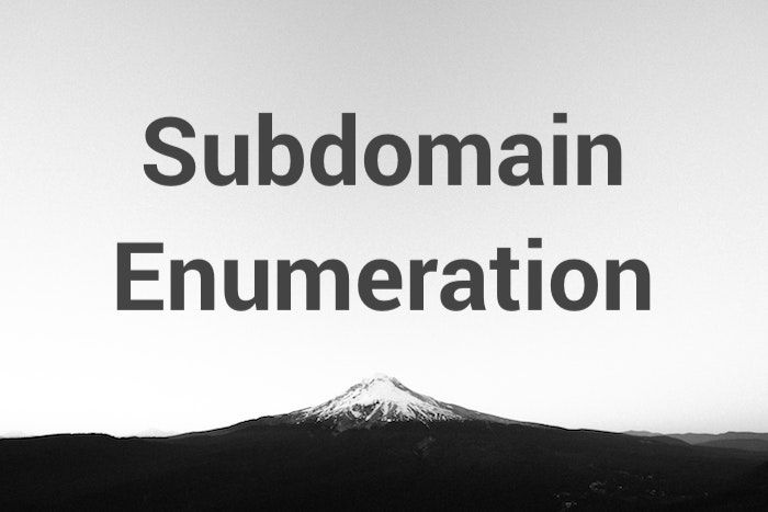 Subdomain Enumeration: Filter Wildcard Domains