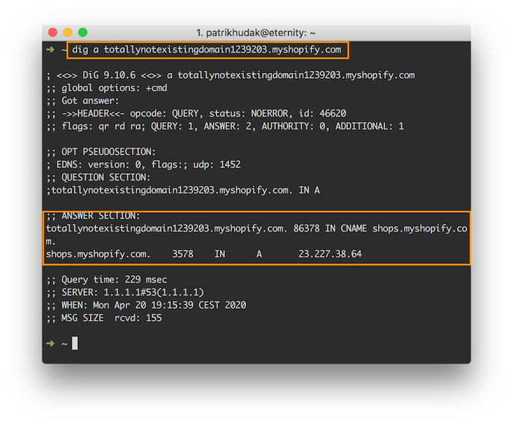 Subdomain Enumeration: Filter Wildcard Domains